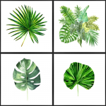 Maalid 4 tk komplektis 30x30 cm Monstera