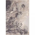 Kreem-hall villane vaip 133x180 cm Lissey - Agnella