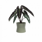 Keraamiline lillepott &oslash; 14 cm Diana - Artevasi