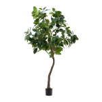 Kunstlik viigipuu (k&otilde;rgus 210 cm) Ficus - Kave Home