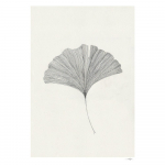 Plakat 50x70 cm Ginkgo Leaf &ndash; Ana Frois - The Plakat Club