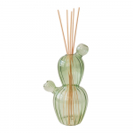 Hajuti Cactus - Brandani