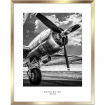 Kuldne seinaraam, 43 x 53 cm Floryda - Styler