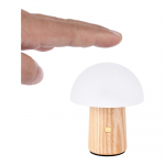 Tuhapuidust LED dimmerdatav laualamp (k&otilde;rgus 7 cm) Alice - Gingko