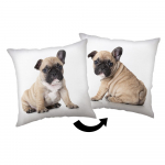 Laste padi 40x40 cm Bulldog - Jerry Fabrics