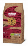 Lavazza Expert Tierra Bio-Organic Intenso kohvioad 1kg