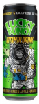 LUCKY PUNCH Melon-Green Apple vitamiinijook 330ml