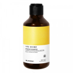 ELGON YES SHINE &scaron;ampoon briljantse s&auml;ra andmiseks SPARKLE SHAMPOO, 250 ml