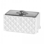 Ultraheli puhastusseade AD-3000 300ml 35W White