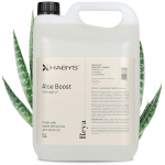 Aloe vera massaaži&otilde;li, 5000 ml