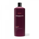 Penetraitt Shampoo &Scaron;ampoon kahjustatud juustele 1000ml