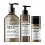 L'Or&eacute;al Professionnel Serie Expert Absolut Repair Molecular Kit Juuste molekulaarse struktuuri parandamise komplekt, Seatud