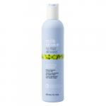 Milk_shake No Frizz Allowed Perfecting Shampoo Siluv &scaron;ampoon raskesti kammitavatele juustele 300ml