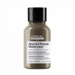 L'Or&eacute;al Professionnel Serie Expert  Absolut Repair Molecular  &Scaron;ampoon kahjustatud juustele, mis parandab juukseid molekulaarsel tasandil, 100ml