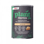 Iconfit Plant Protein Taimsed valgud, Apple Pie
