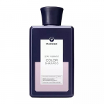 Color Shampoo &Scaron;ampoon v&auml;rvitud juustele 250ml