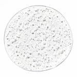 Paul Mitchell Original Shampoo One &Otilde;rnalt puhastav &scaron;ampoon peentele juustele, 500ml