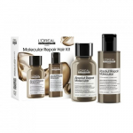 L'Or&eacute;al Professionnel Absolut Repair Molecular Hair Mini Duo Kit Juuste struktuuri taastamise komplekt, Seatud
