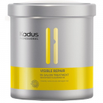 Kadus Professional Visible Repair Intensive Mask Juuksestruktuuri taastamiseks, 750ml