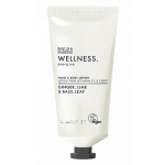 Baylis & Harding Wellness Energise Hand & Body Lotion K&auml;te- ja kehakreem, 130ml
