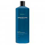 Sebastian Professional Twisted Elastic Curls Shampoo &Scaron;ampoon lokkis juustele, 1000ml