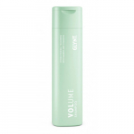 Glynt Volume Shampoo Vol&uuml;&uuml;mi ja tihedust lisav &scaron;ampoon, 250ml