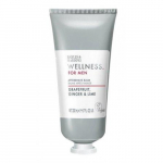 Baylis & Harding Wellness For Men Aftershave Balm Palsam p&auml;rast habemeajamist, 200ml