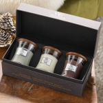 WoodWick Mini Core Fireside, White Teak, Sand & Driftwood Gift Set Kinkekomplekt, Mini