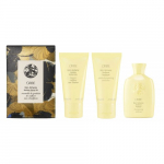 Hair Alchemy Travel Set Reisi kinkekomplekt