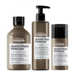 L'Or&eacute;al Professionnel Serie Expert Absolut Repair Molecular Essential Kit Juuste molekulaarse struktuuri parandamise komplekt, Seatud