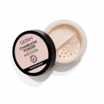 GOSH Copenhagen Chameleon Powder Kinnituspuuder, Transparent