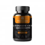 Vitalharmony Glucosamine + MSM + Chondroitin Toidulisand, 90 kapslit