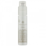 Paul Mitchell Awapuhi Wild Ginger Styling Treatment Oil Toitev s&auml;ra&otilde;li, 25ml