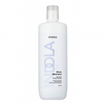 Silver Shampoo H&otilde;bedane &scaron;ampoon 1000ml