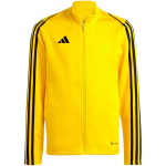 Sweatshirt for kids adidas Tiro 23 League Training yellow IC7874 152cm