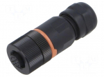 Connector: M12 | plug | PIN: 12 | female | 30V | straight | IP67 | soldering