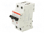Circuit breaker | 400VAC | 400VDC | Inom: 10A | Poles: 2 | Charact: B