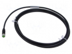 Cable: for sensors/automation | M8 | PIN: 4 | straight | 2m | plug | 60VDC
