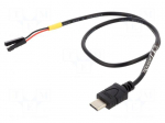 Cable | USB C plug,1pin pin header x2 | 0.3m | black | 22AWG