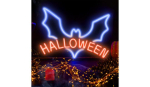 LED ribad // NEON FLEX LED strips // Neon plexi led halloween niebieski czerwony nne17 neolia