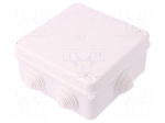 Enclosure: junction box | X: 133mm | Y: 133mm | Z: 64mm | wall mount