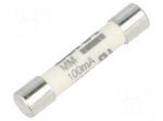 Fuse: fuse | ultra rapid | 100mA | 1kVAC | ceramic,cylindrical | brass