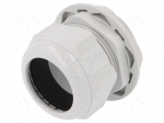 Cable gland | M63 | 1,5 | IP68 | Mat: polyamide | light grey