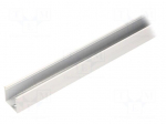 Profiles for LED modules | white | L: 2m | SMART16 | aluminium
