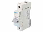Circuit breaker | 230/400VAC | Inom: 40A | Poles: 1 | Charact: C | 6kA