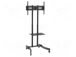 LCD/LED holder | free-standing handle | 40kg
