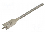 Drill bit | for wood,feather | &Oslash;: 19mm | L: 152mm | Holder: E6,3mm | 1/4"
