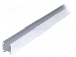 Profiles for LED modules | natural | L: 2m | LINEA20 | aluminium