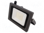 Lamp: LED flood light | 50W | 230VAC | 4000K | CRImin: 80 | 4500lm