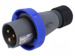 Connector: AC supply 3-phase | plug | male | 16A | 250VAC | IP&S | IP67